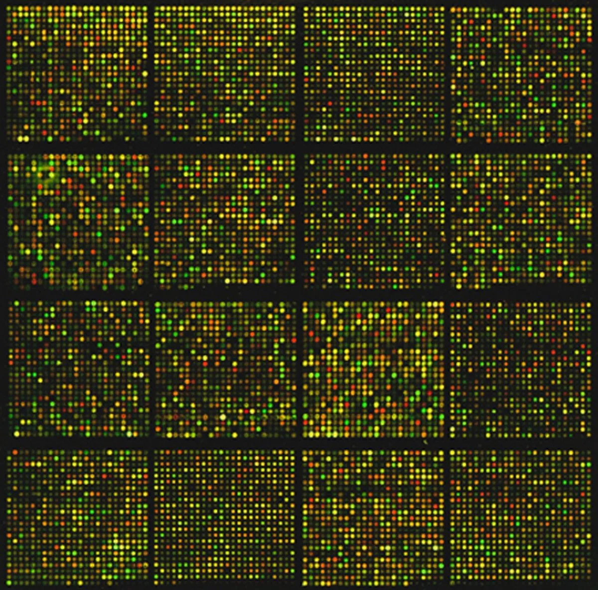 Stylised microarray graphic