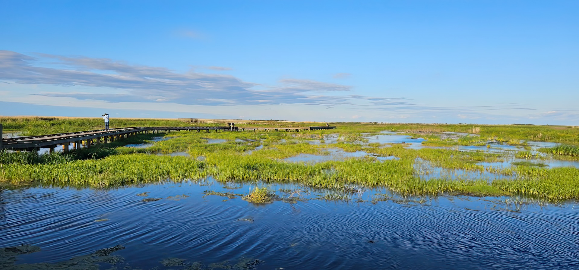 Galveston Bay estuary, Texas Gulf Coast