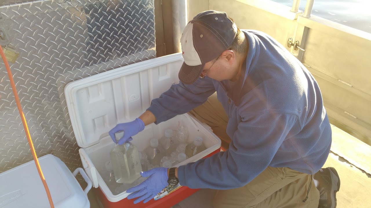 Dr. David Hala in the field