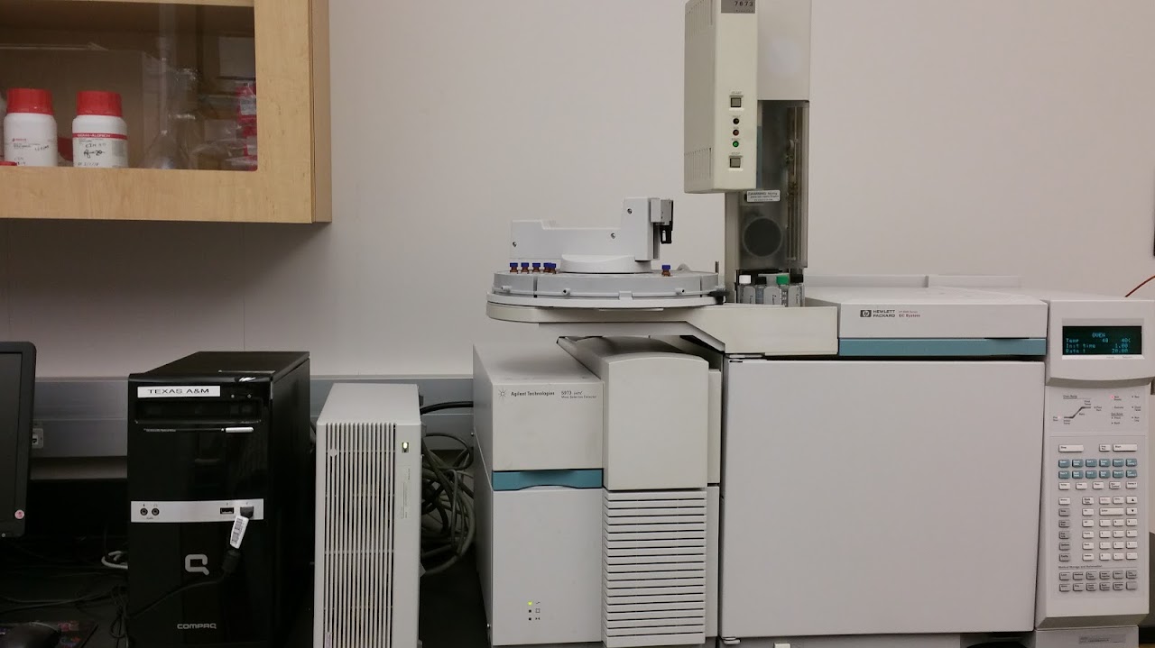 GC-MS