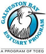 Galveston Bay Estuary Program